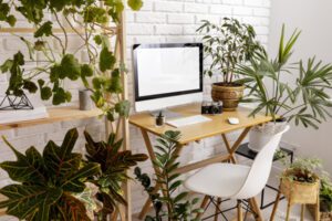 rolul plantelor in amenajarea biroului de acasa